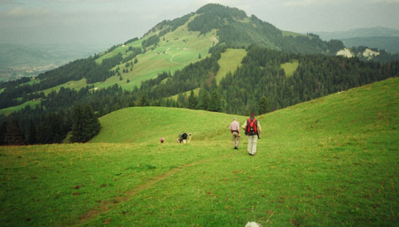 Hoher Kasten 19